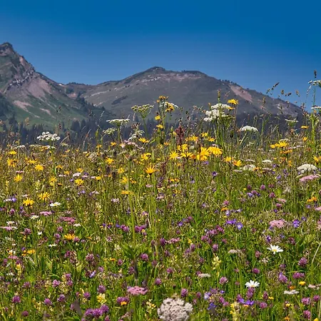 In Near Slopes 公寓